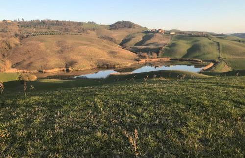 Il Borghetto Studio apartment in Crete Senesi - Foto 8