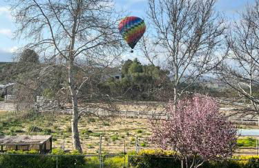 Amazing Ranch Home in Temecula wine country - Foto 24
