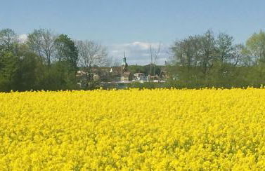 Sternkieker - Photo 14