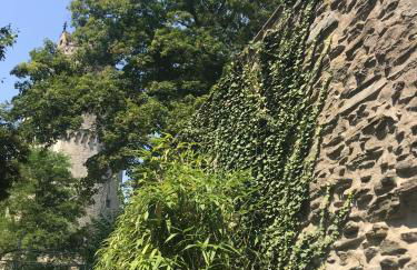 back to school (rote Schule) - Foto 45