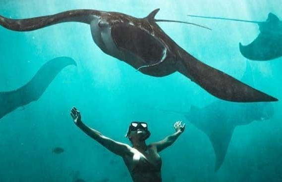 Snorkeling con le mante a Nusa Penida - Foto 5