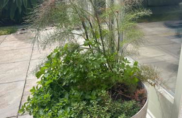 Kite House - Modern & spacious 'Olympic' House - Foto 25