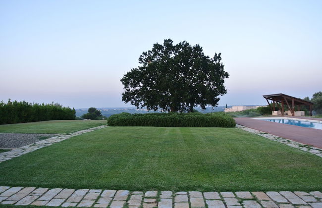 Trulli Paparale - Foto 26