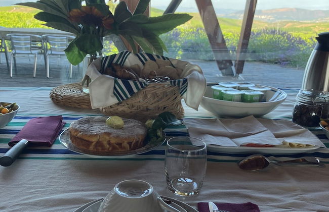 QUINTA DA FAISCA - Agro Turismo - Photo 12