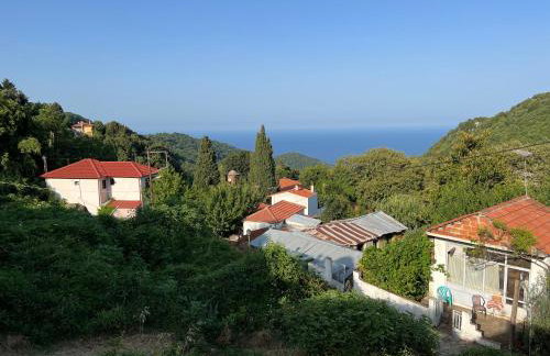 Traditional village house - Foto 28