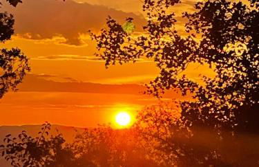 mas du Clap - Photo 15