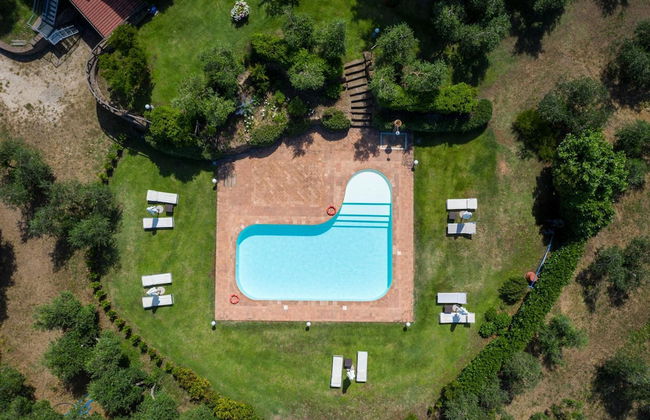 Cerchio Verde - Foto 31