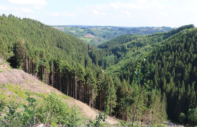 Quaint Cottage in Mont near High Fens Nature Park - Foto 35