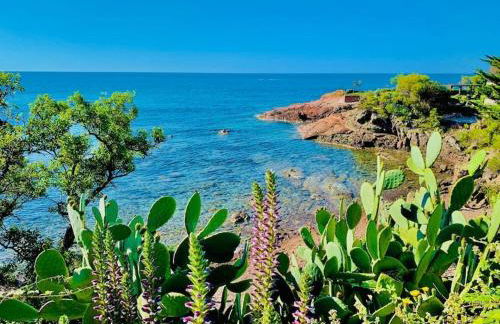 Vue exceptionnelle - 4 pers. jardin clim parking - Foto 23