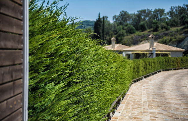 Mega Lithari Villas Corfu - Foto 7