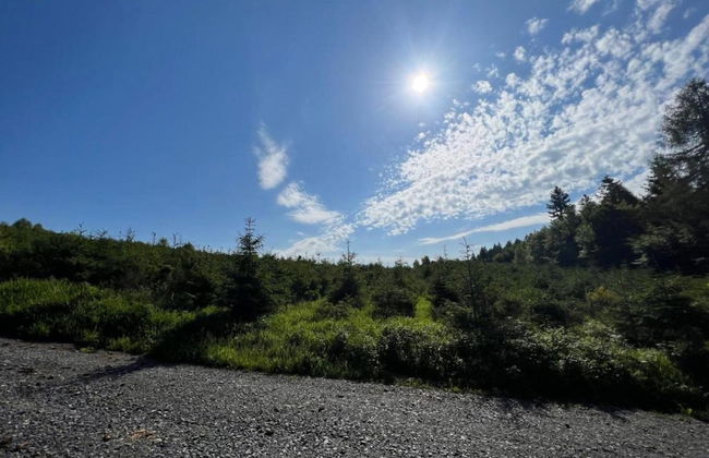 Gemutlicher Ruckzugsort in Olsberg-elpe - Foto 32