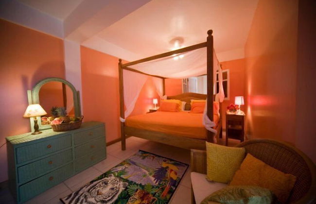 Tobago Hibiscus Villas and Apartments - Foto 10