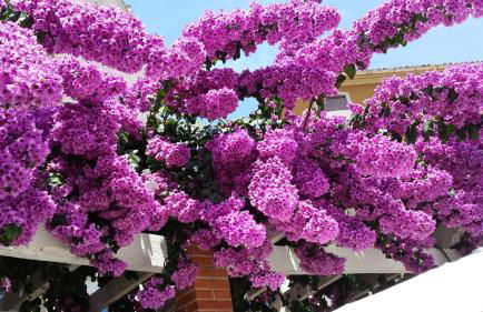 Cascadas de la Marina - Foto 26