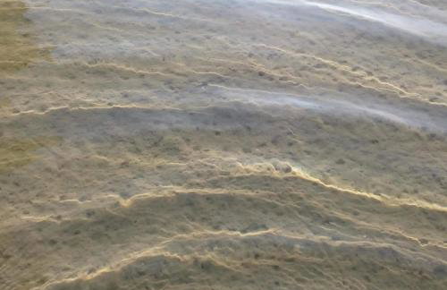 W starej szkole - agroturystyka - Foto 68