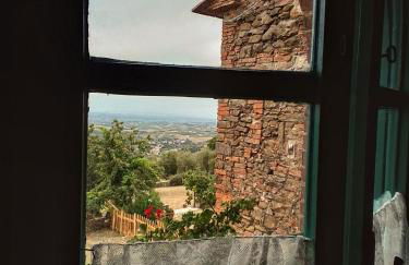 Poderino La Noce - Foto 38