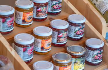 Ferienwohnung Schlern Bio Schrofhof - Photo 23