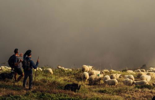 Au Graé - Maison à louer à Laruns Béarn - Foto 43