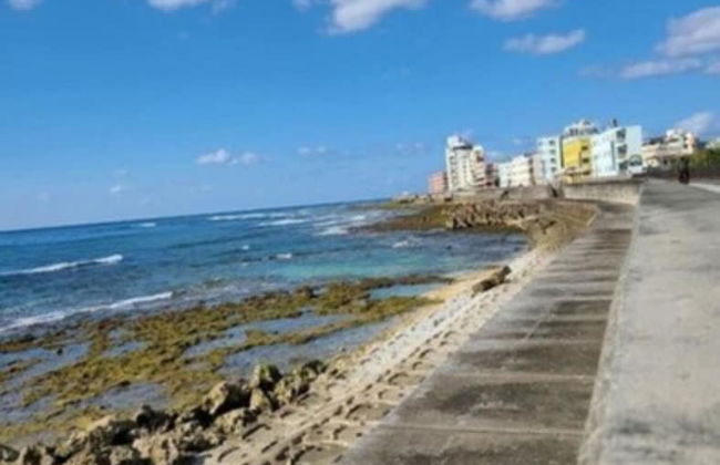 Frank’s CHATAN - Foto 71