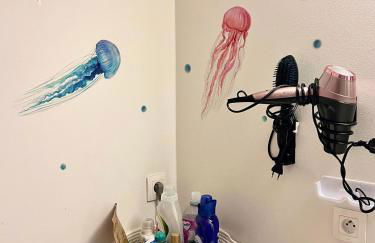 Comme à la maison 10mn du Stade de France - Foto 9