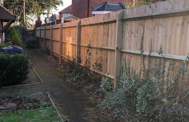 The Cedars - Foto 20