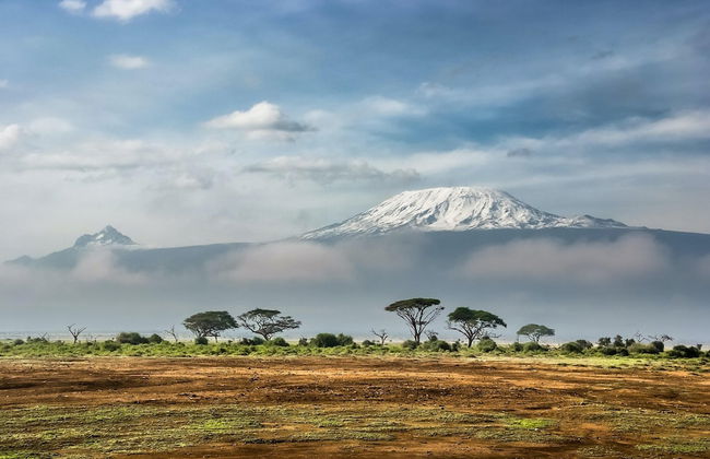 Rafiki Village - Foto 45