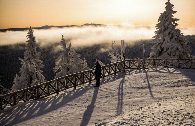 Forest Park Resort & SPA - Foto 39