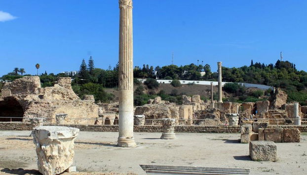 Intera giornata a Cartagine, Sidi Bou Said e la Medina di Tunisi da Hammamet - Foto 2