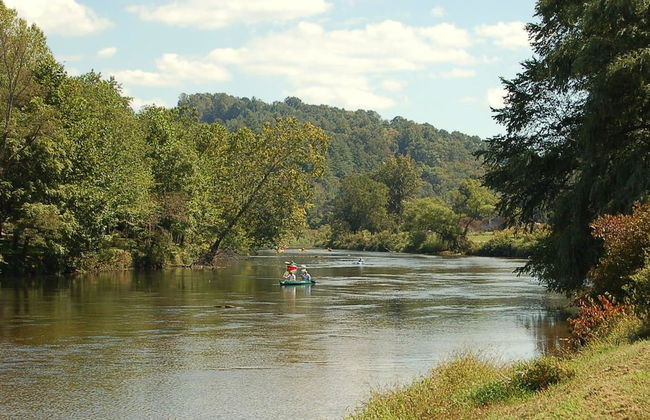 The Cabins at Healing Springs - Foto 57