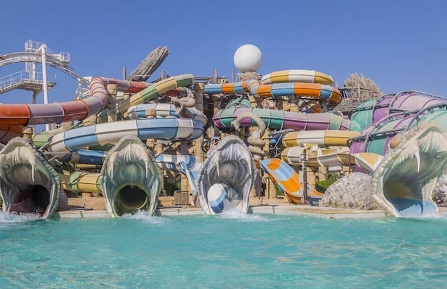 ZAPBED House - YWE B3 601 - Photo 39