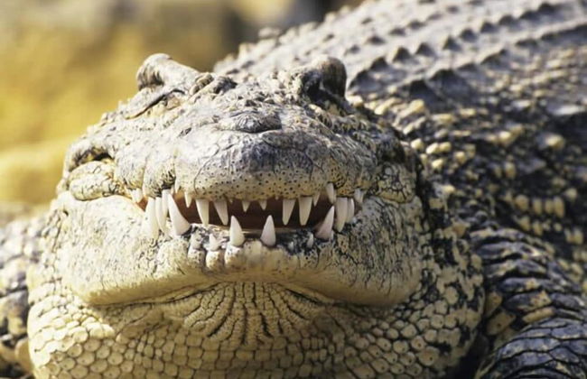 Delta Belle Boathouse - Foto 17