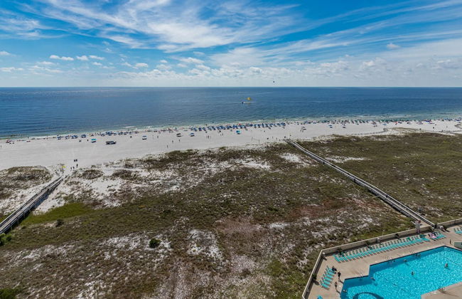 Phoenix VII 1416 - Foto 112