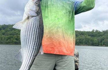 Clearwater Shores-Lakefront Stunning Views-Smith Lake, AL-5 Bedrooms - Foto 10