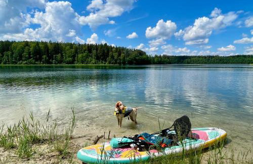 Żurawi klangor - dom z sauną i jacuzzi - Foto 31