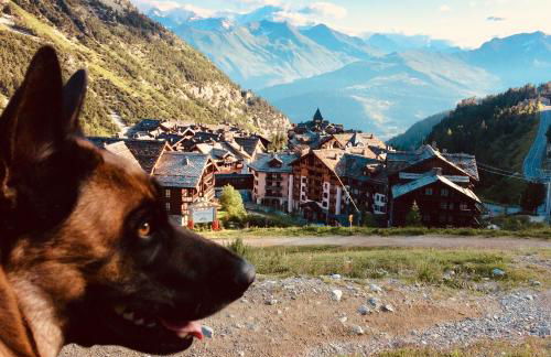 Appartement montagne spacieux, piscine, SPA à ARC 1950 - Foto 17