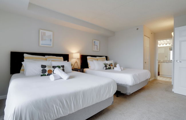 Spacious Apartment at Pentagon City - Photo 8