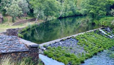 Escapada na Natureza - Charmoso Refúgio nas Alturas - Foto 3