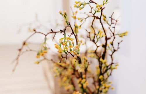 Küsten Suite de Diek - Suite 3 seitliche Deichlage, Terrasse, 53qm - Foto 29