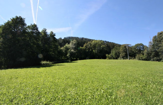 Vogelhütte - Foto 11