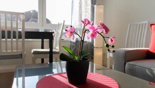 Ferienwohnung Abendsonne - Foto 4