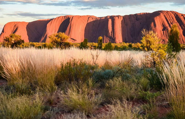Ayers Rock Sunrise Segway Tour - Photo 1