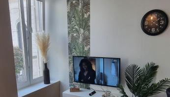 New jungle studio cœur de ville - Foto 5