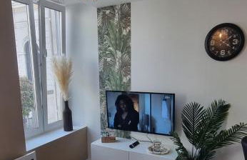 New jungle studio cœur de ville - Foto 5