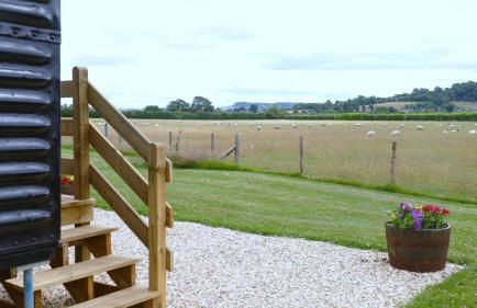 The Freight Wagon - Photo 5