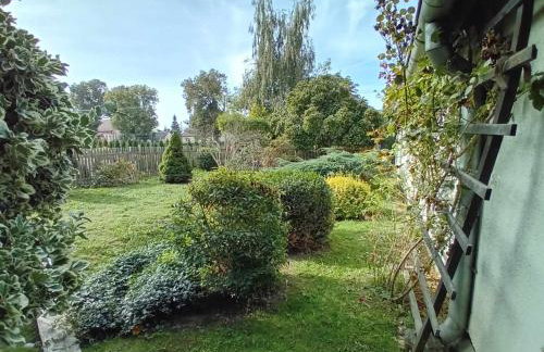 Agroturystyka Zielony Zakątek - Foto 46