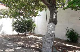 Suíte em Japaratinga com Vista do Mar - Foto 23