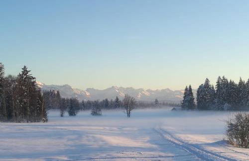 Ferienwohnung Sandra Wetzel - Foto 29