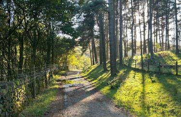 Pendle Hill Barley 17th Century 2 bed-bath period cottage - Foto 26