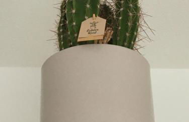 Ferienwohnung Tiny-Klotzsche - Foto 4