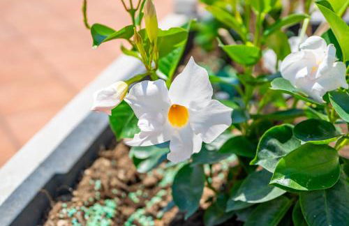 La Casa Dei Venti - Foto 25