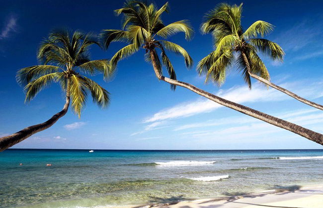 Lo mejor de Santa Lucía - Excursión en autobús y barco - Foto 1